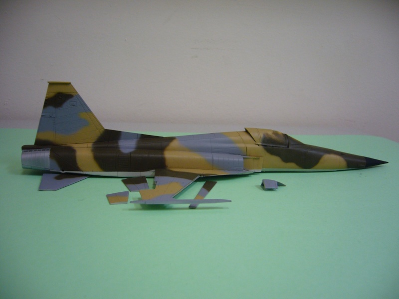 Le F-5E de AFV Club au 1/48 aux couleurs de la Tunisie P1080811