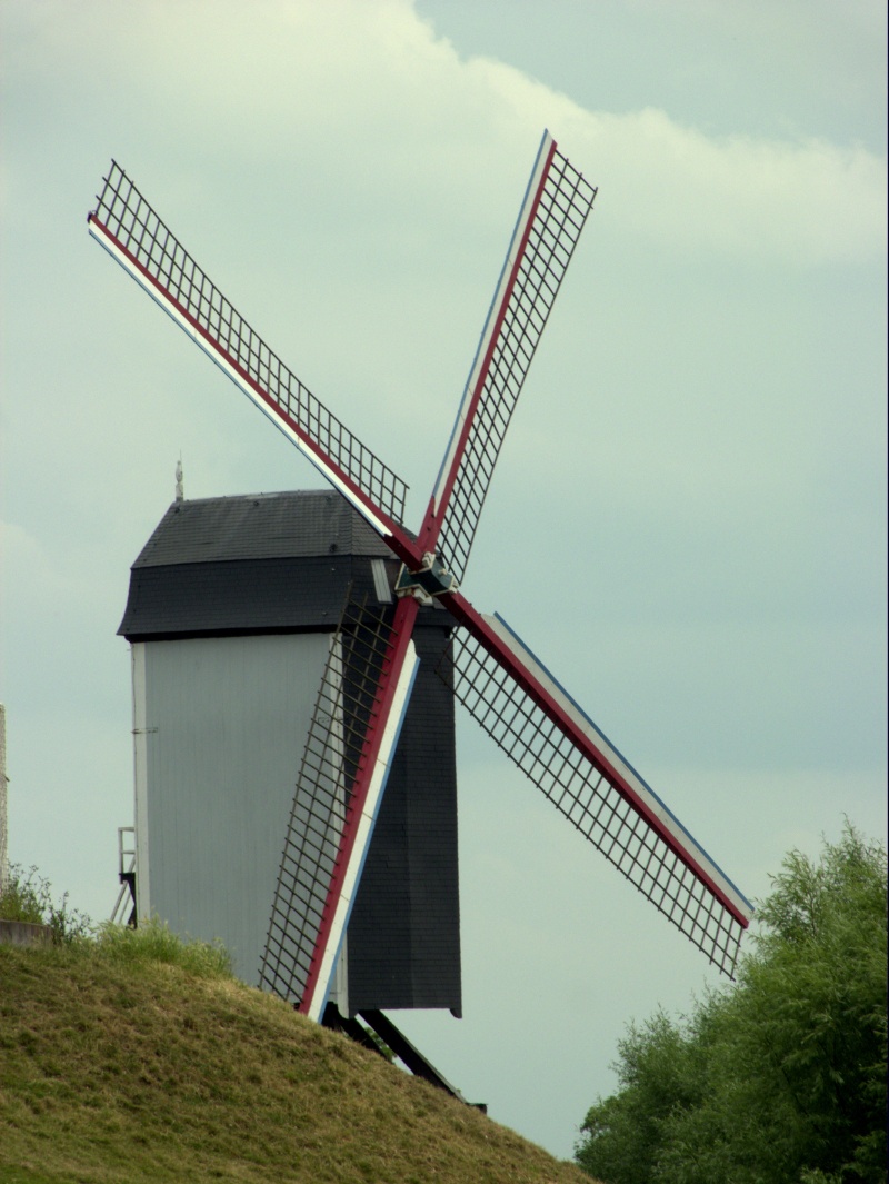 Bruges Moulin10