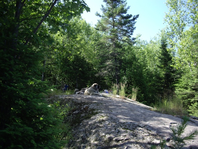 Sentier Maskanaw, Lanaudière Imgp9819