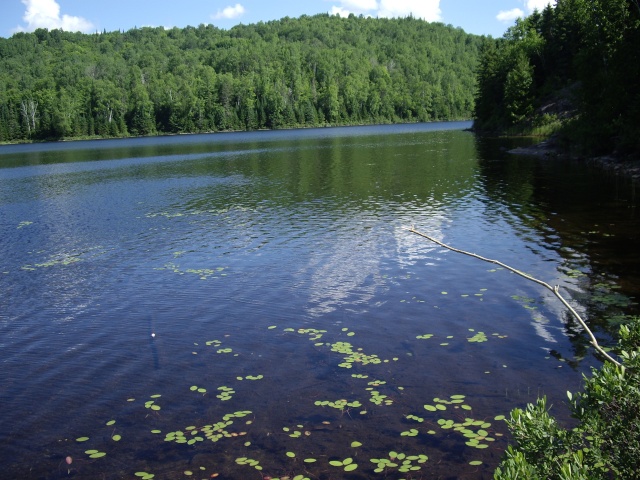 Sentier Maskanaw, Lanaudière Imgp9827