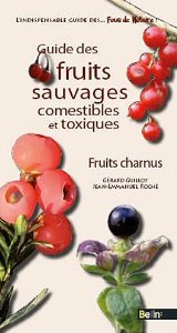 Guide des fruits sauvages - fruits charnus  51ymxv10