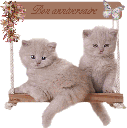 Q Tbn And9gcq3 Cnyiysxa8rpcpl6xktun 9ipj6zr3krwq Usqp Cau Q Tbn And9gcq3 Cnyiysxa8rpcpl6xktun 9ipj6zr3krwq Usqp Cau