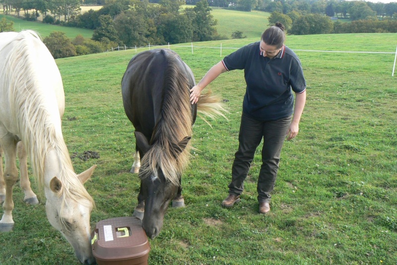 PELIPA - ONC Poney née en 2007 - adoptée en septembre 2014 par Ceed - Page 6 A_la_g10