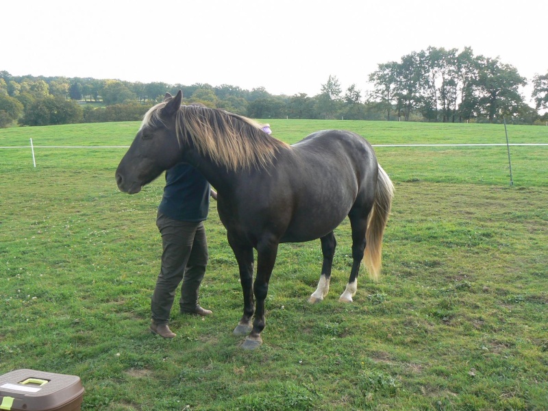 PELIPA - ONC Poney née en 2007 - adoptée en septembre 2014 par Ceed - Page 6 A_la_g15