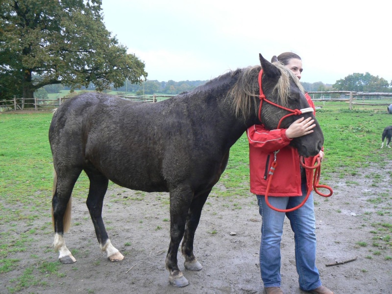 PELIPA - ONC Poney née en 2007 - adoptée en septembre 2014 par Ceed - Page 6 P1280711
