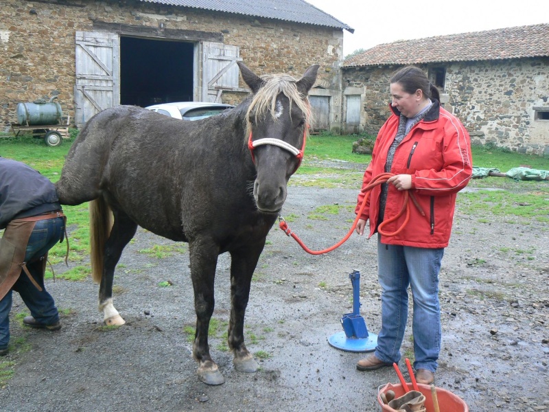 PELIPA - ONC Poney née en 2007 - adoptée en septembre 2014 par Ceed - Page 6 P1280712