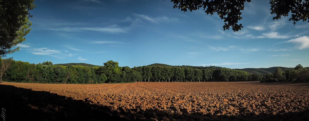 POTD Lumix du 25/08/2014 Champ110