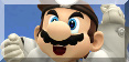 Targhette SSB for Wii U/3DS Dr10