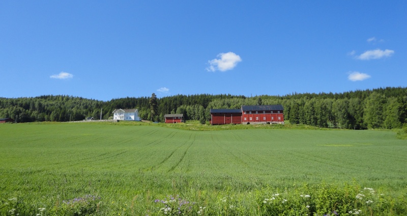 [C.R] Norvège et Lofoten Juin 2014 Dsc03348