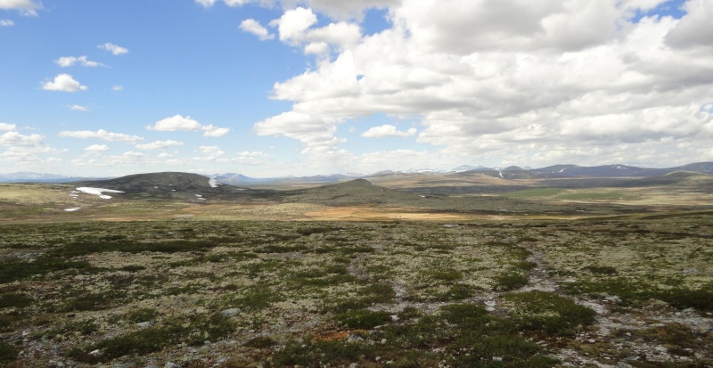 [C.R] Norvège et Lofoten Juin 2014 Dsc03435