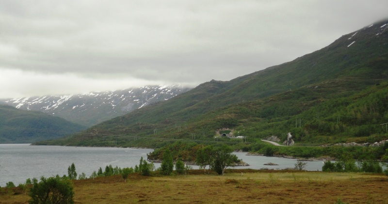 [C.R] Norvège et Lofoten Juin 2014 - Page 3 Dsc03716