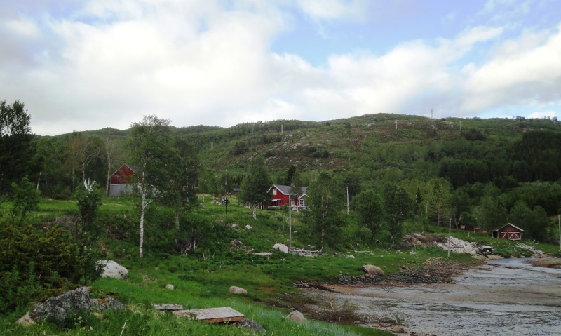 [C.R] Norvège et Lofoten Juin 2014 - Page 3 Dsc03743
