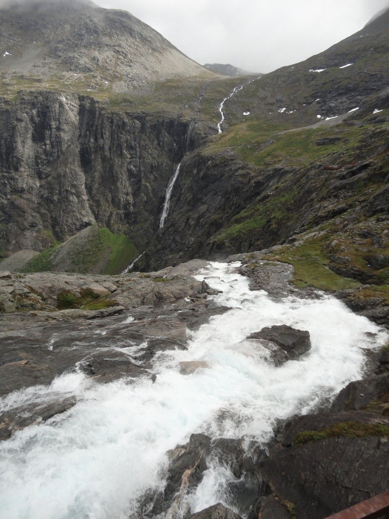 [C.R] Norvège et Lofoten Juin 2014 - Page 3 Dsc03951