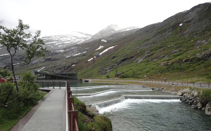 [C.R] Norvège et Lofoten Juin 2014 - Page 3 Dsc03952