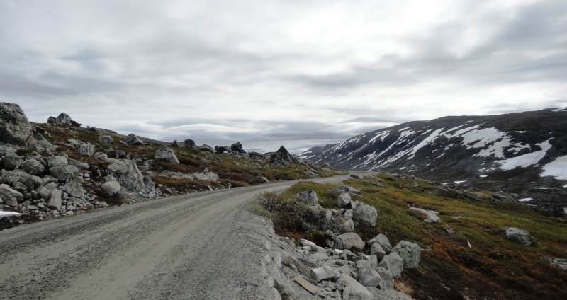 [C.R] Norvège et Lofoten Juin 2014 - Page 4 Dsc04052