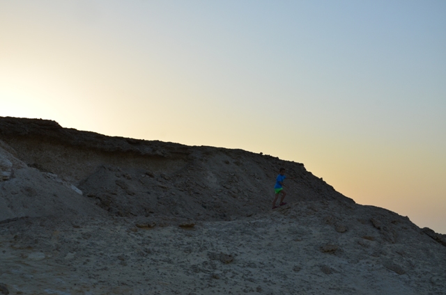 sortie a Zekreet désert calcaire du Qatar 2014  1_610