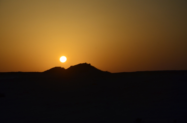 sortie a Zekreet désert calcaire du Qatar 2014  1_910