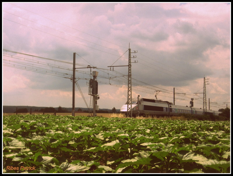 Pk 312,0 : Gare de Castelnaudary (11) Pn_cas11