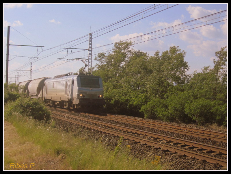 Photos et vidéos de la ligne Bordeaux - Toulouse - Narbonne - Sète (Fil 3) - Page 18 Trabes15