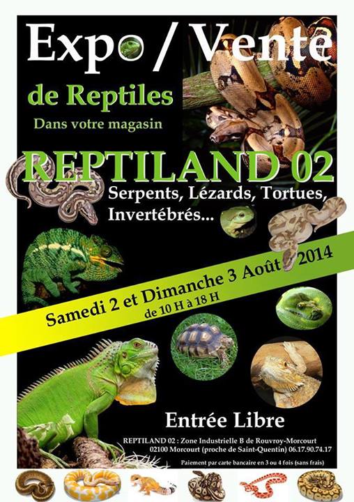 expo de reptile au magasin reptiland de st quentin 10492310