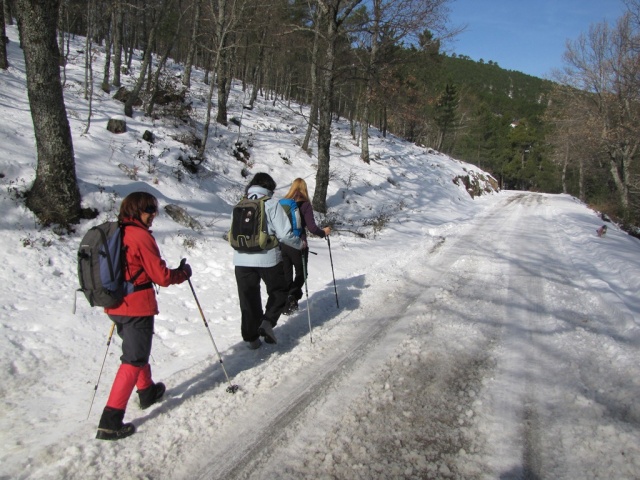 20130302 - EL CASTAÑAR DEL TIEMBLO 00145