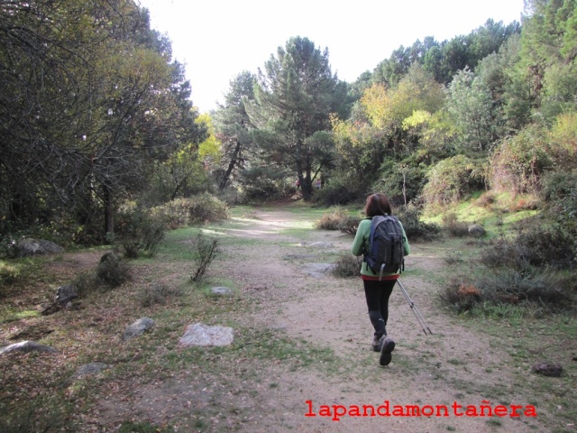 20141011 - PEDRIZA - PUENTE DE LOS POYOS 00155