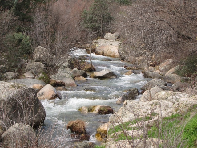 20130209 - RUTA POR LA PEDRIZA 00241