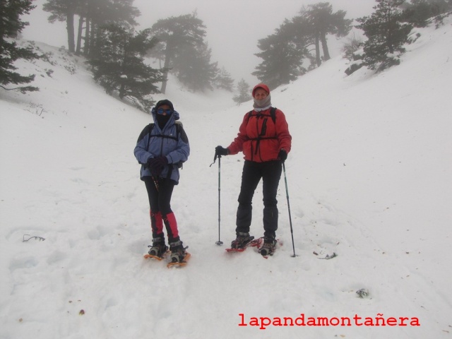 20140125 - GUADARRAMA - RUTA A LA PINAREJA - OTRO INTENTO 00628