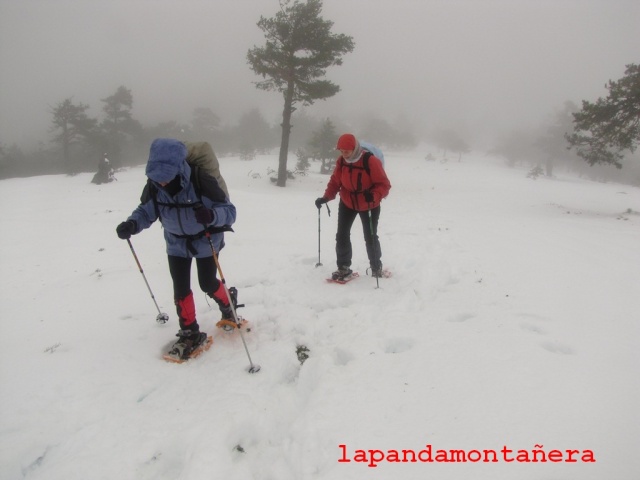 20140125 - GUADARRAMA - RUTA A LA PINAREJA - OTRO INTENTO 00932