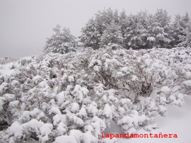 20131117 - IMPRESIONANTE NEVADA EN COTOS 01022