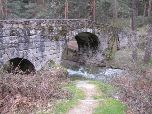 20130406 - BOCA DEL ASNO - LA GRANJA 01145