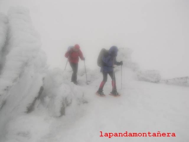 20140125 - GUADARRAMA - RUTA A LA PINAREJA - OTRO INTENTO 01735