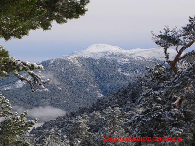 20131116 - LA PINAREJA - INVERNAL EN OTOÑO 02030