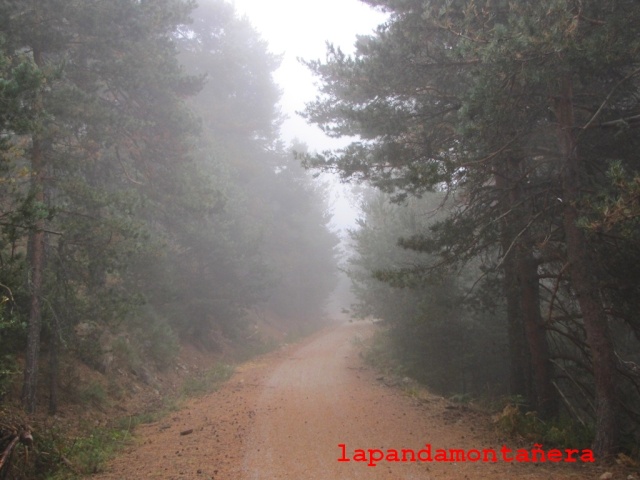 20130928 - CERCEDILLA - CERROMALEJO - RÍO MOROS 02216