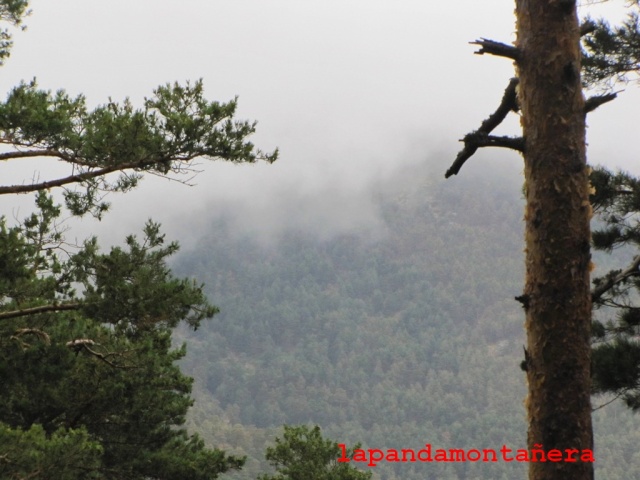 20130928 - CERCEDILLA - CERROMALEJO - RÍO MOROS 02621