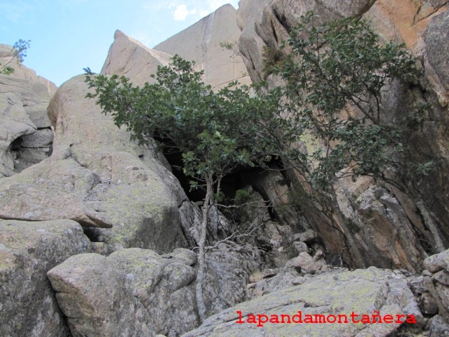 20130807 - LA PEDRIZA - RUTA DE LAS CUEVAS 03225