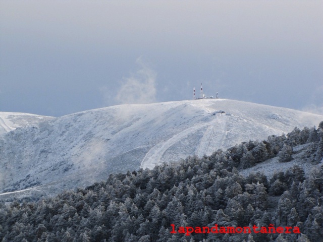 20131116 - LA PINAREJA - INVERNAL EN OTOÑO 03430