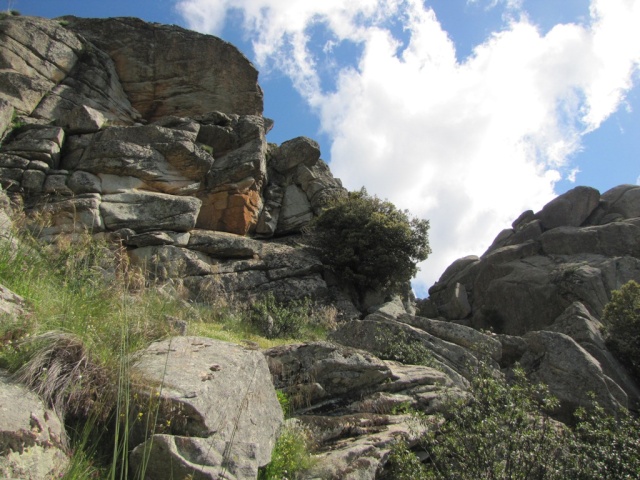 20130529 - EL BOALO - RUTA DE LAS CABRAS - LA CRUZ DE MIERLO 03539