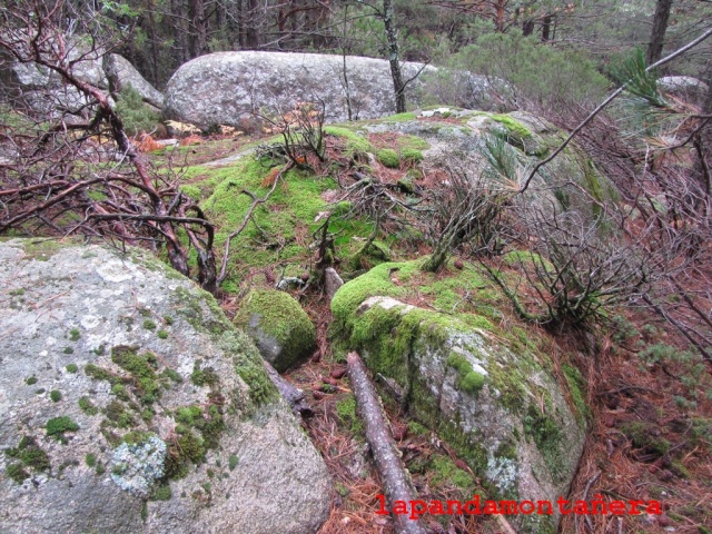 20141011 - PEDRIZA - PUENTE DE LOS POYOS 04039