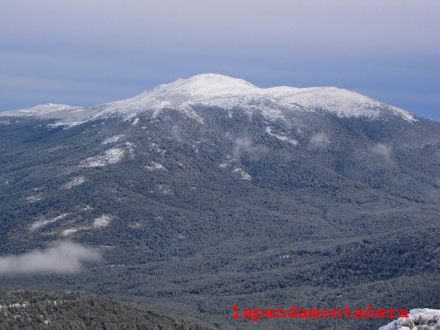 20131116 - LA PINAREJA - INVERNAL EN OTOÑO 04522