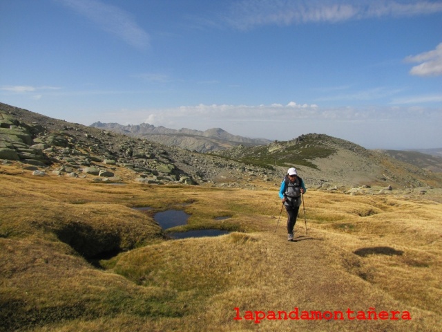 20141101 - GREDOS - LA MIRA desde la plataforma de HOYOS DEL ESPINO 04741