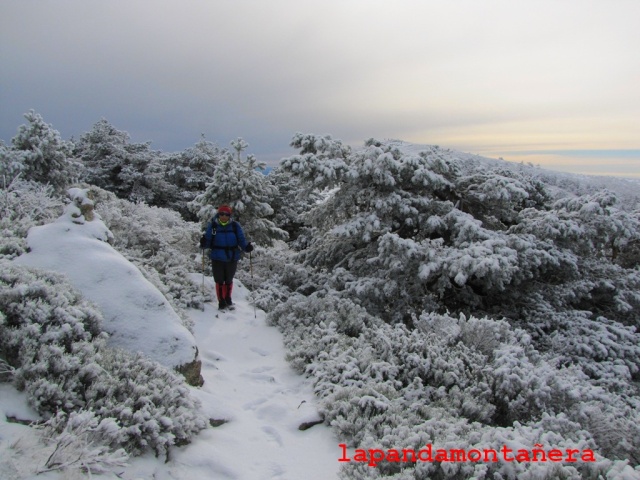 20131116 - LA PINAREJA - INVERNAL EN OTOÑO 04922