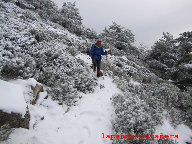 20131116 - LA PINAREJA - INVERNAL EN OTOÑO 05321