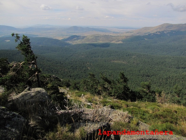 20141004 - GUADARRAMA - RUTA DESDE CERCEDILLA AL ESPINAR 05425