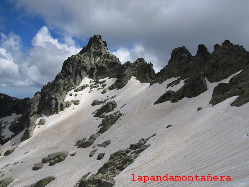 20140621 - GREDOS - VIVAC EN EL ALMANZOR 09710