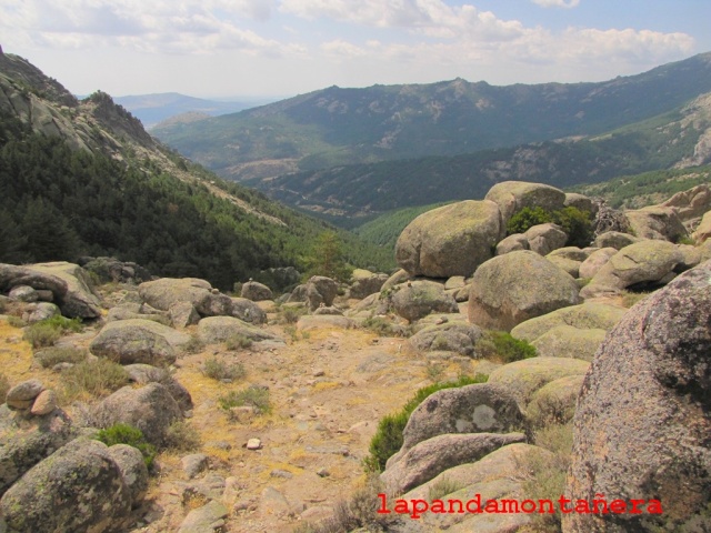 20130827 - PEDRIZA - ALTO DE MATASANOS 13010