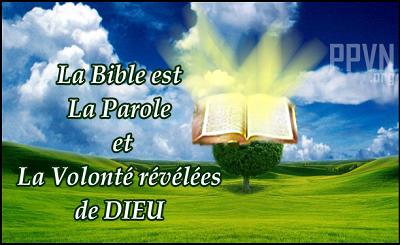 Méditation du jour et les Textes, commentaires (audio,vidéo) - Page 2 Bible-11