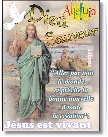 Signe dans la Bible - Page 2 Bonne-10