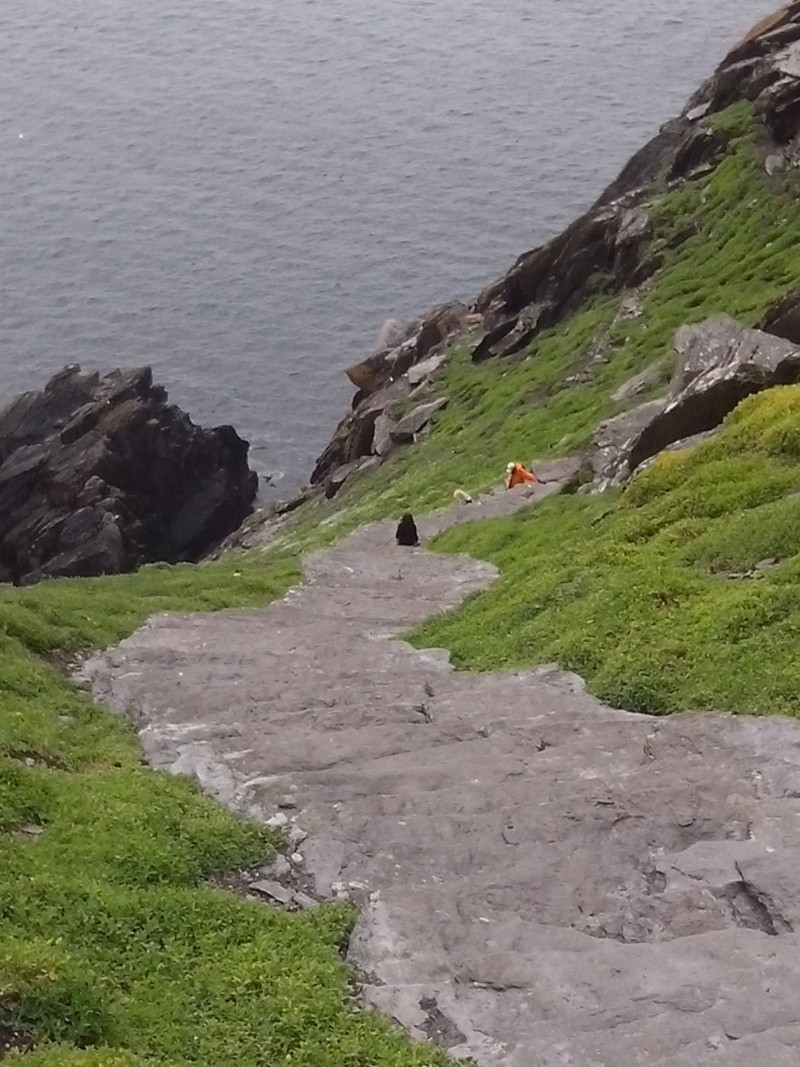 Skellig Michael Img_2031