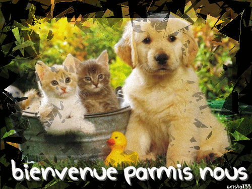 Bienvenue CBAERT Bv_par10